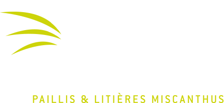 logo-aelis-blanc
